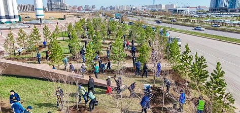 KMG Marks World Environment Day
