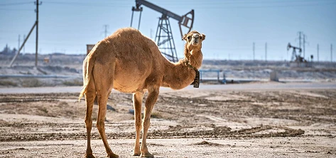 Тарихи меже: Маңғыстаумұнайгаздың кен орындары игеріле бастағаннан бері өндірілген мұнай көлемі 300 миллион тоннаға жетті